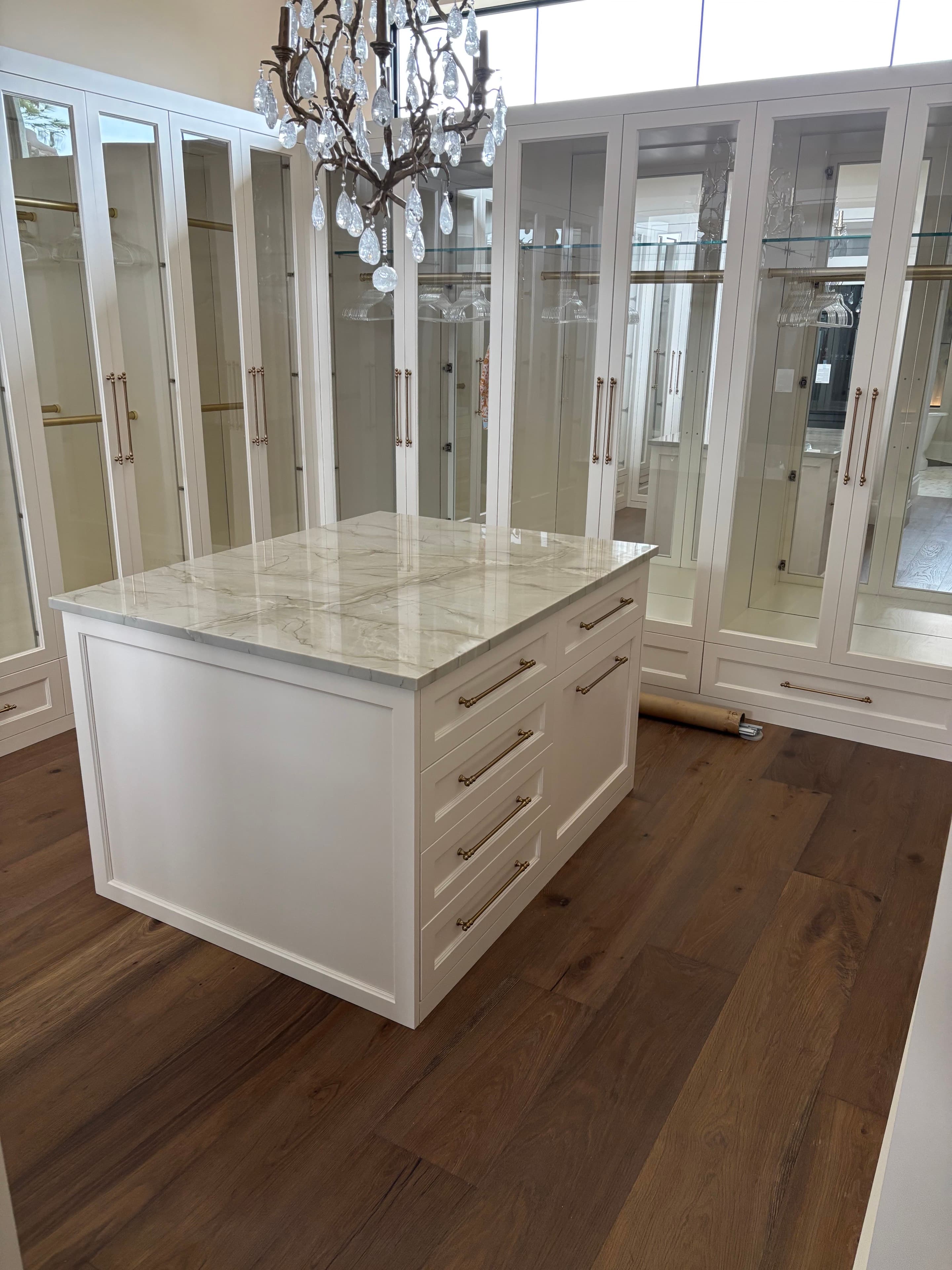 Custom Closets project 19